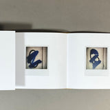 DENNIS HOPPER COLORS THE POLAROIDS
