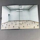 UGO RONDINONE : BECOMING SOIL
