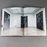 UGO RONDINONE : BECOMING SOIL