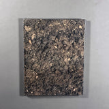 UGO RONDINONE : BECOMING SOIL