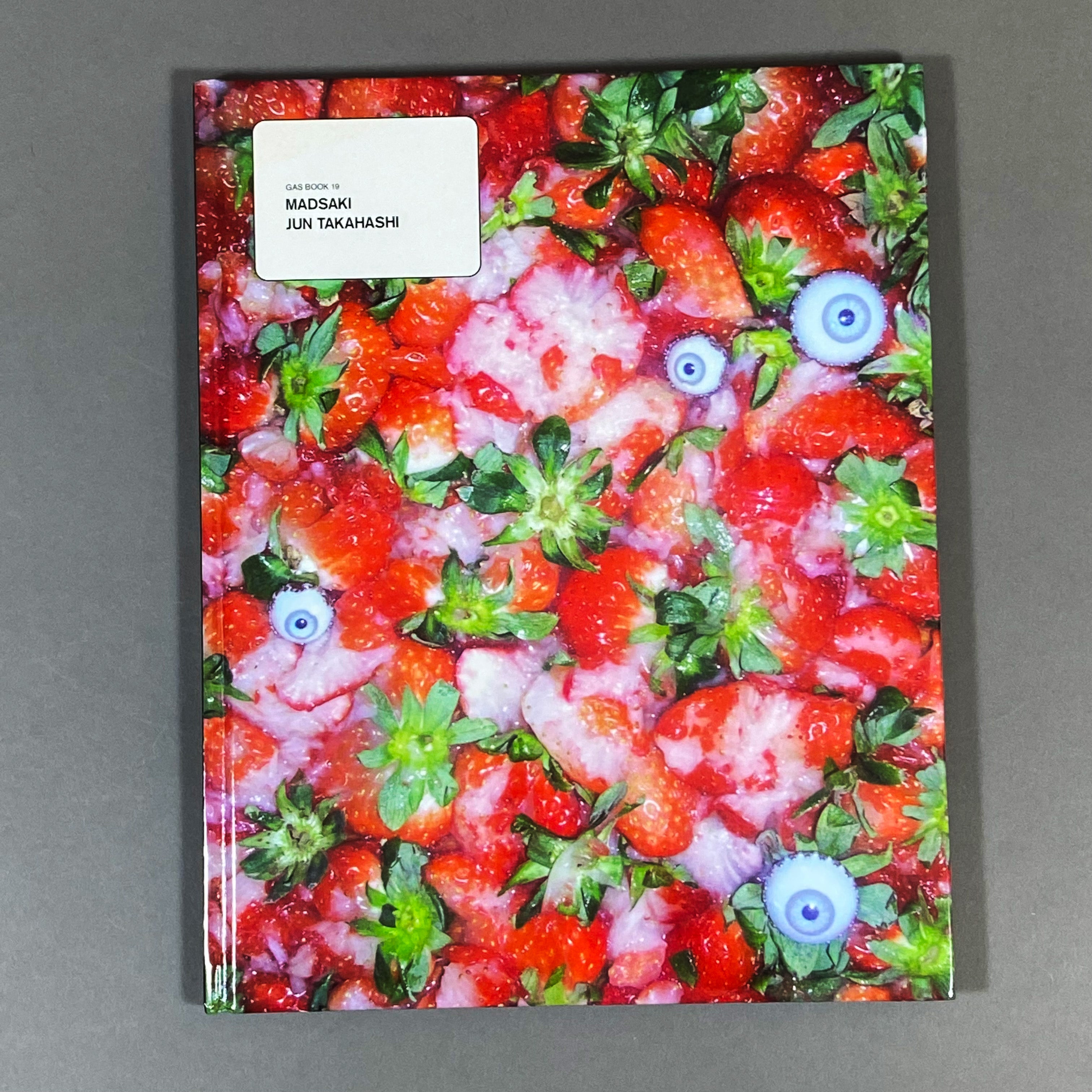 GAS BOOK 19 - MADSAKI & JUN TAKAHASHI