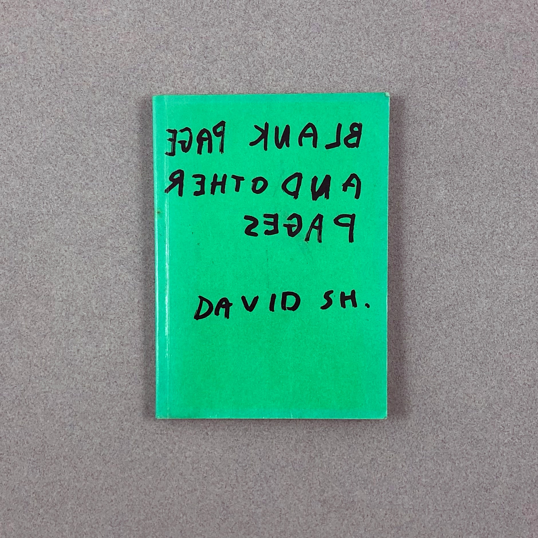 BLANK PAGE AND OTHER PAGES BY DAVID SHRIGLEY