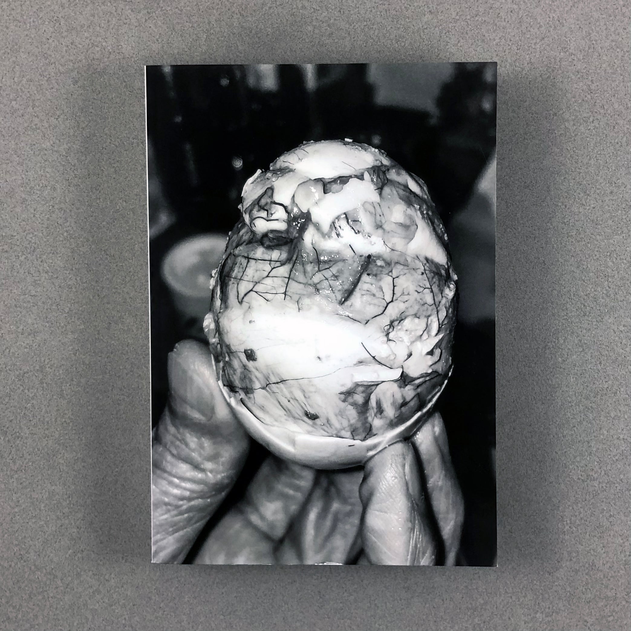 CHRYSALIS BY RAY POTES