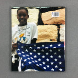 FLAG : AN AMERICAN STORY BY LAURI LYONS