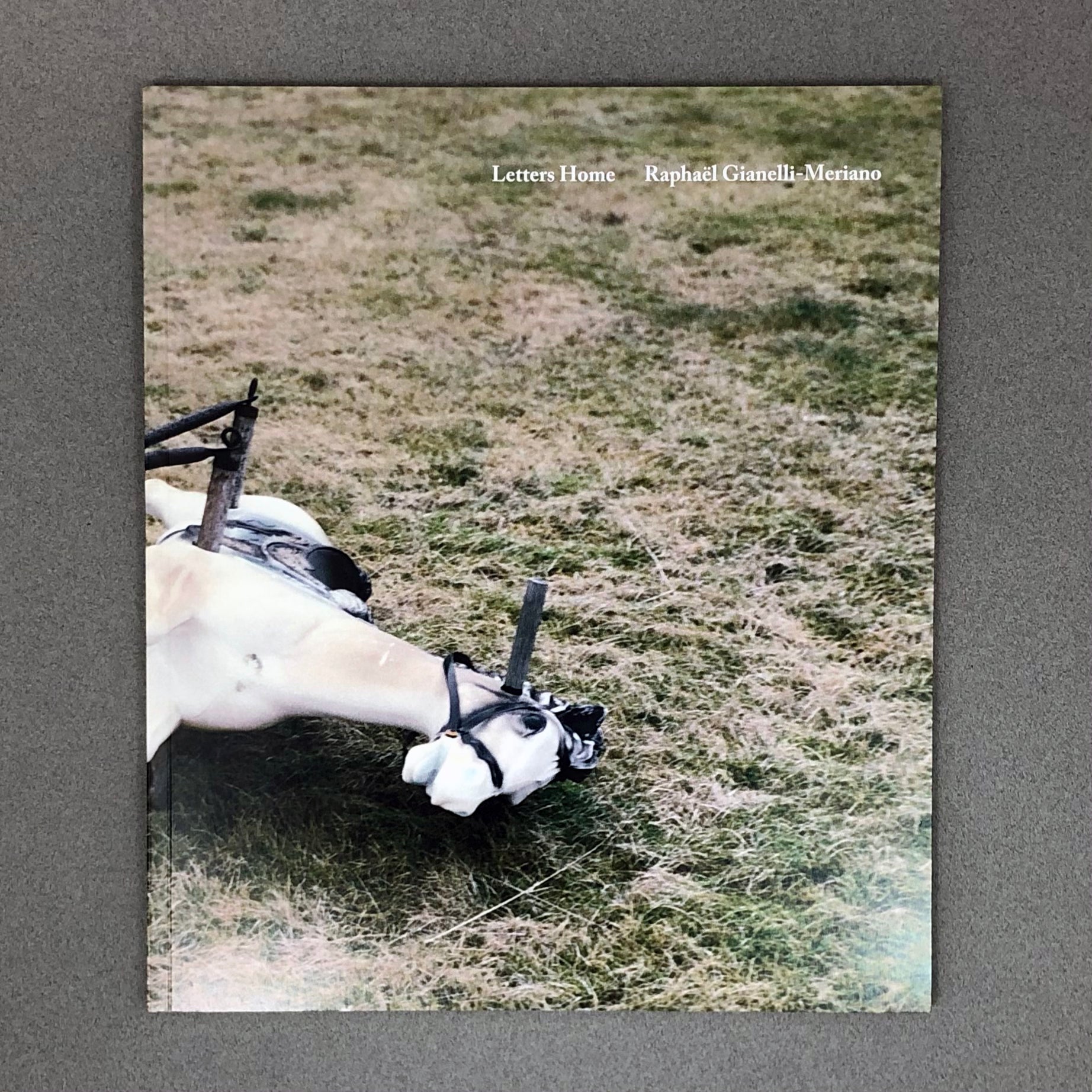 LETTERS HOME BY RAPHAËL GIANELLI-MERIANO