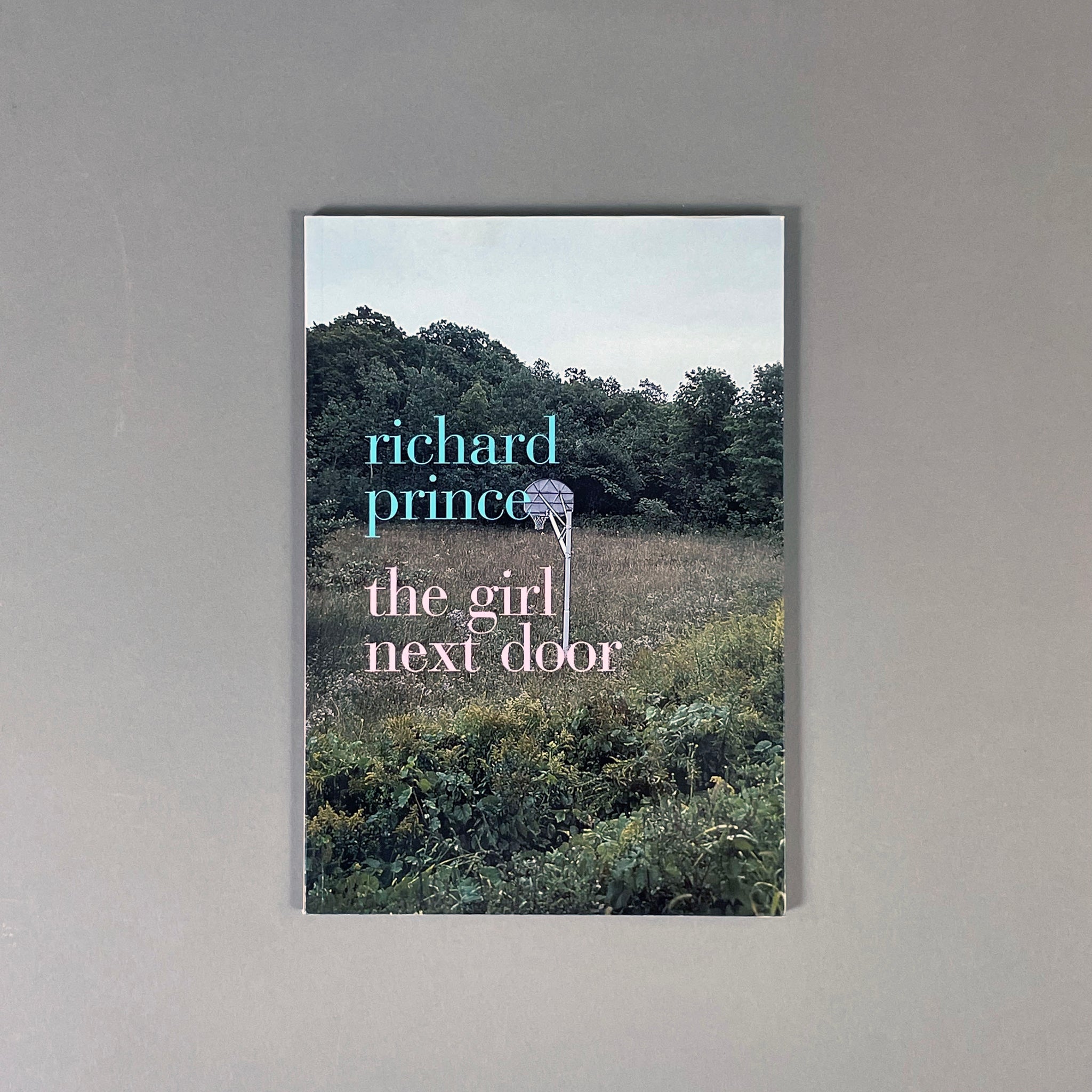レビュー高評価商品 THE GIRL NEXT DOOR BY RICHARD PRINCE アート・デザイン・音楽