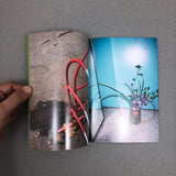 I GLOW WITHOUT REALIZING THE PAIN BY HARUKA SPRING & SHAUNA T.