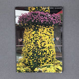 TOKYO NATURAL FANTASY BY PETER SUTHERLAND