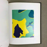 CAMOUFLAGE: ANDY WARHOL