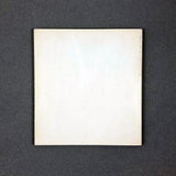 PAINTINGS AND DRAWINGS 1954-1977 BY CY TWOMBLY
