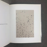 SMALL RAIN PAINTINGS BY LUCIEN SMITH